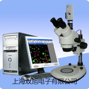 【雙旭牌】隔爆型本安型帶熱電偶電阻溫度變送器SBWR-4270/440KD銷售