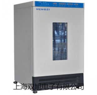 【雙旭牌】鎧裝鉑熱波膜電阻WZPK-466U價格