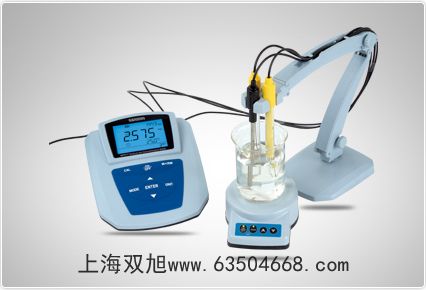 DE-30W溫度計