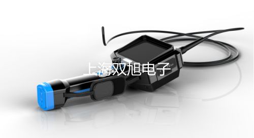【雙旭牌】鎧裝鉑電阻WZPK2-166SA價(jià)格