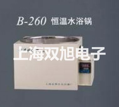 【雙旭牌】DT-363系列 自動量程交直流數(shù)字鉗型表價格