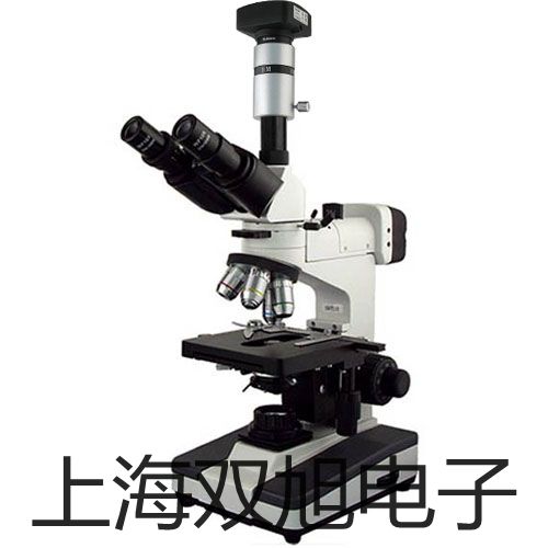 【雙旭牌】WZP012S鉑熱電阻元件,WZP-012S 廠家