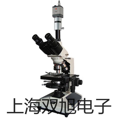 pơˮ֜yxXQ210r 