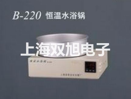 【雙旭牌】端面熱電阻WZCM、WZPM廠家