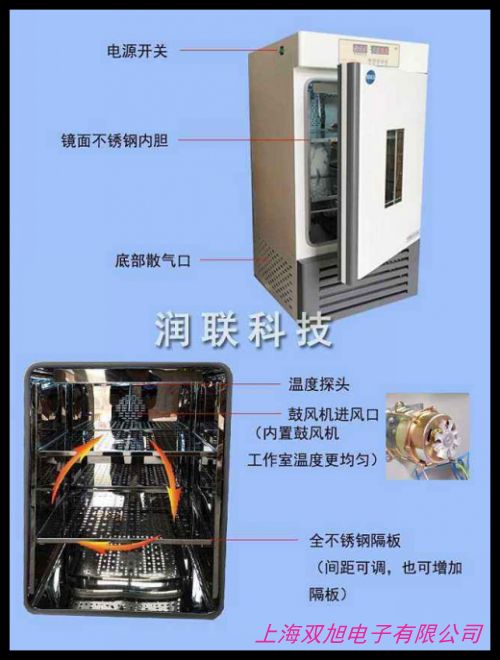 LHP-300FE智能恒溫恒濕培養(yǎng)箱 控溫控濕培育箱