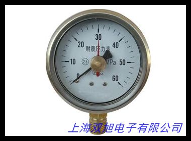 浙江304不銹鋼耐震壓力表YTF-100連接螺紋M20*1.5量程可定制