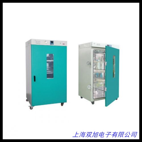 電子電容器烤箱 互感器線圈烘干箱 恒溫干燥箱 鼓風干
