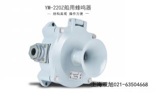 XTD-SG-D聲光報警器BC-2
