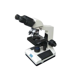 Nt(RtSX-8-10Ϻp